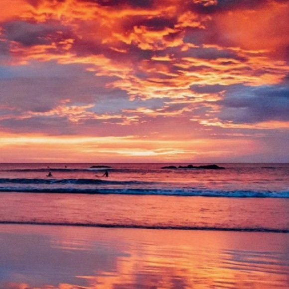 Meet your Posher, Annie - Picture 1 of 1